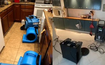 Kitchen Water Damage & Mold Removal In Bradenton, FL