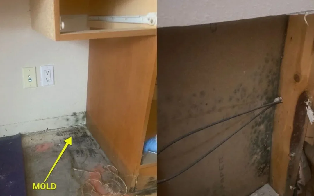Water & Mold Damage Mitigation After A Water Heater Leak In A Sarasota Home
