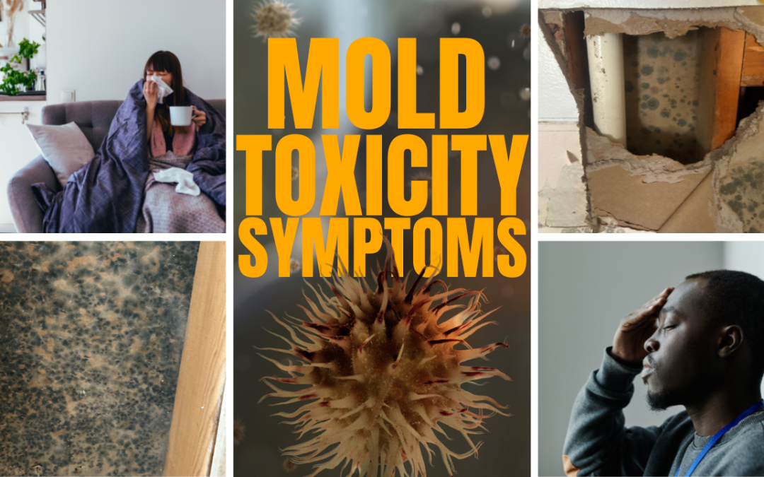 Mold Toxicity Symptoms: Your Home Could Be Making You Sick