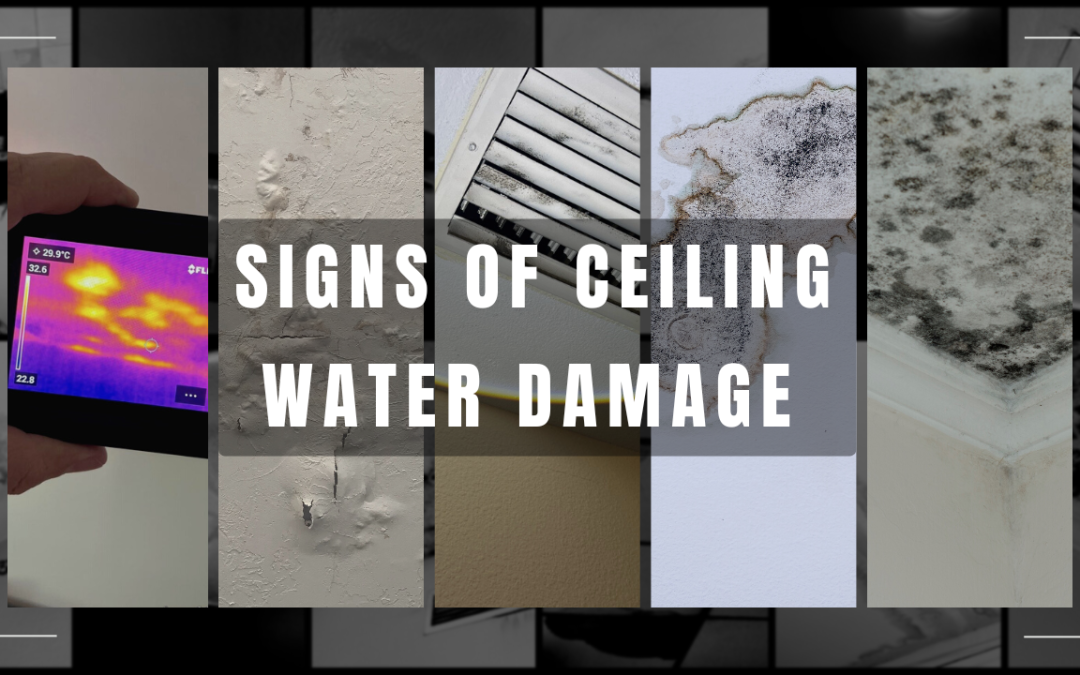 Signs of Ceiling Water Damage
