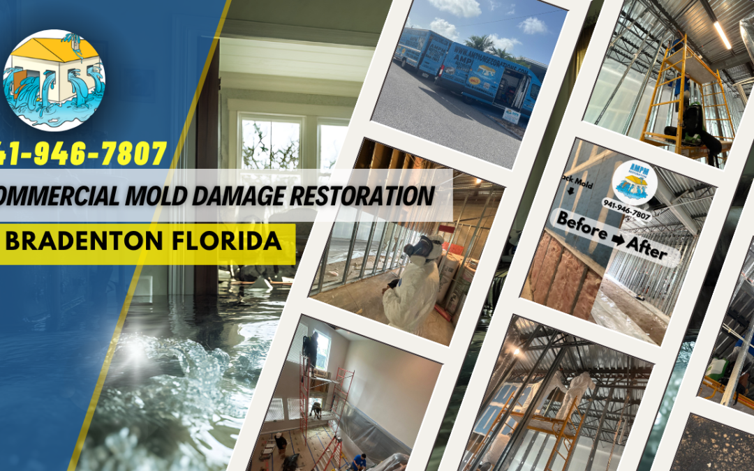 Commercial Mold Damage Restoration In Bradenton