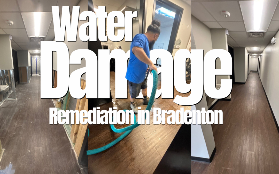 Expert Mold and Water Damage Remediation in Bradenton
