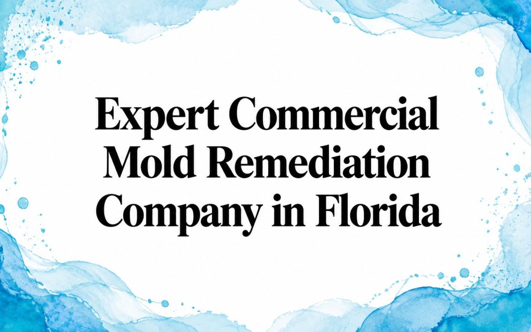 Expert Commercial Mold Remediation Company in Florida