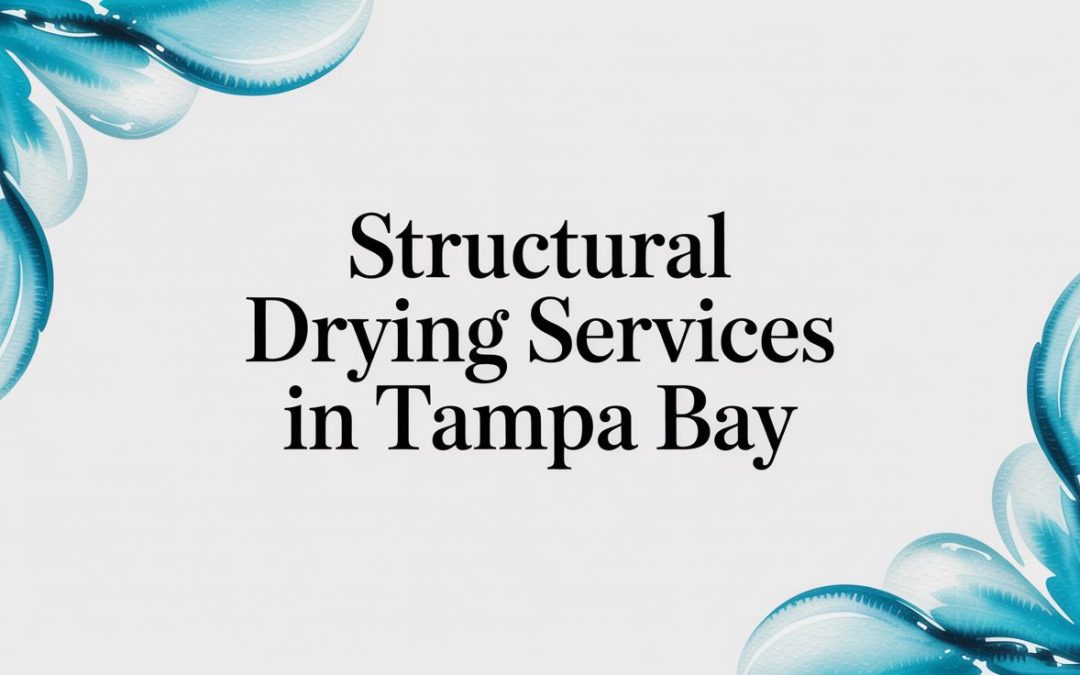 Structural Drying Services in Tampa Bay